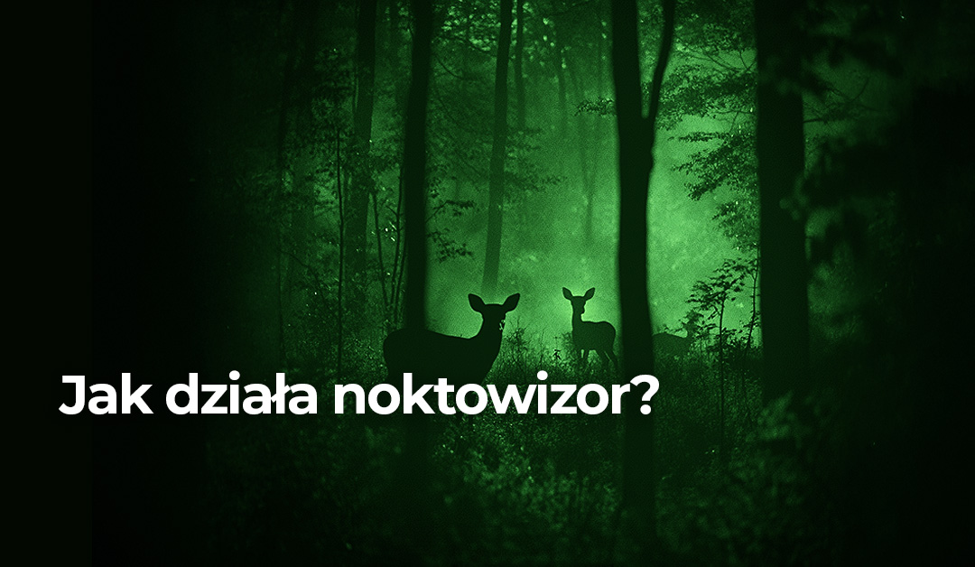 noktowizor polowanie zwierzęta